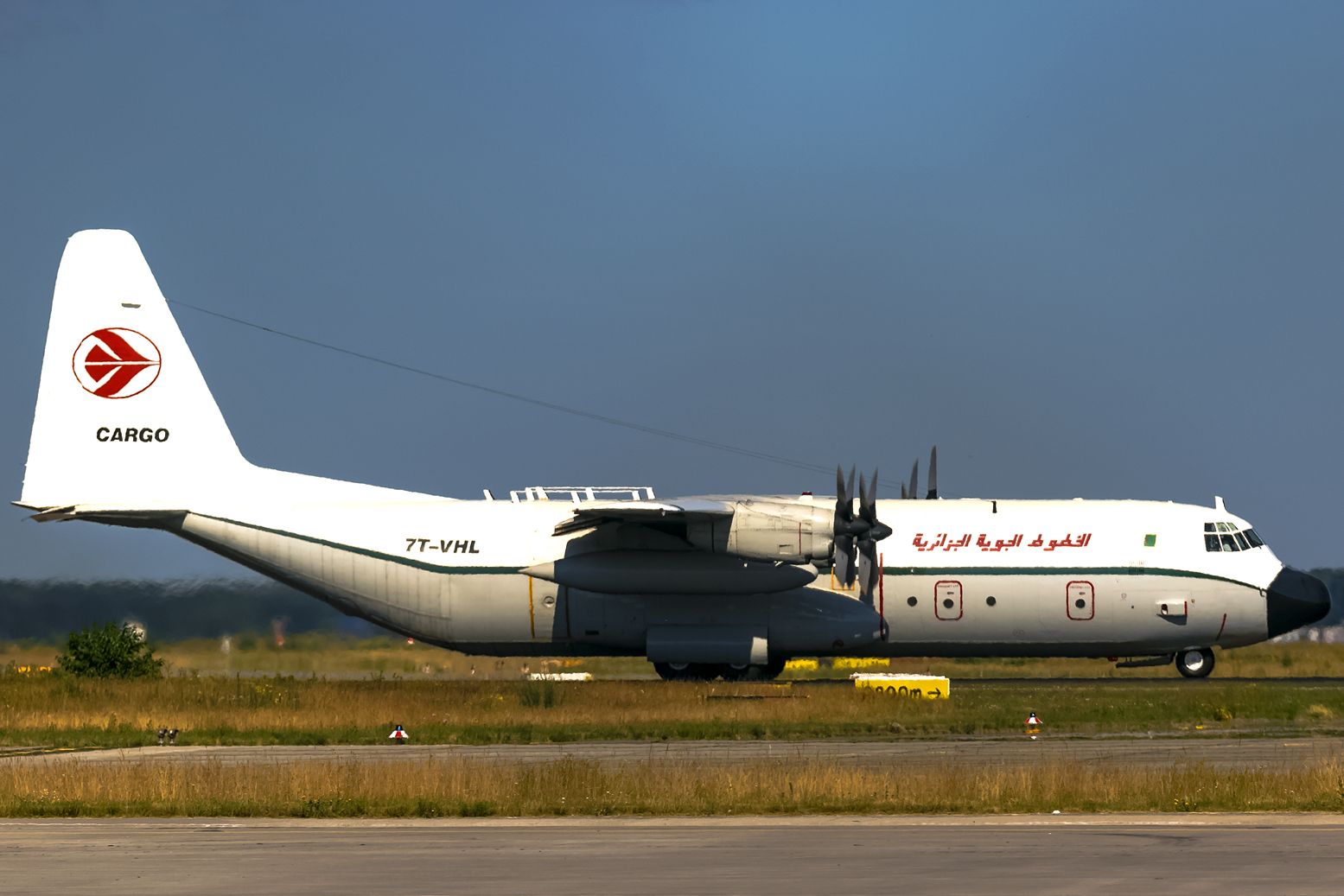 7T-VHL — - a hot and sunny day here in Frankfurt! Snapped through a meshwired fence.