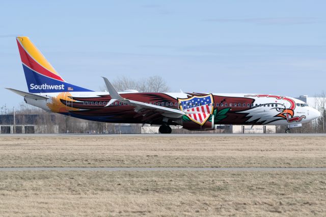 Boeing 737-800 (N8619F)