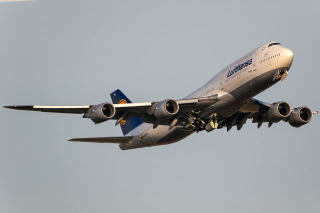 BOEING 747-8 (D-ABYS) - evening sun