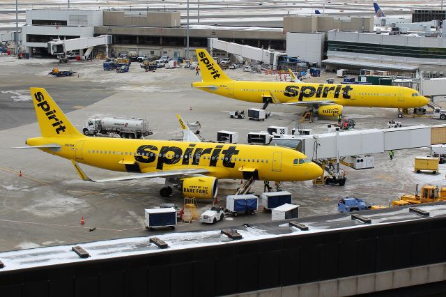 Airbus A321 (N681NK) - Sprit A320-231 Neo flight #432 from Orlando being offloaded as A321-231 flight #609 is getting loaded up for its flight to Ft. Lauderdale