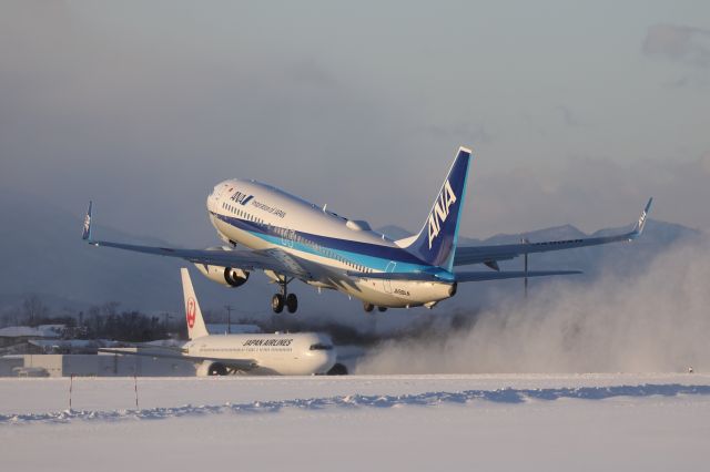 Boeing 737-800 (JA90AN) - December 29th 2018:HKD-HND.