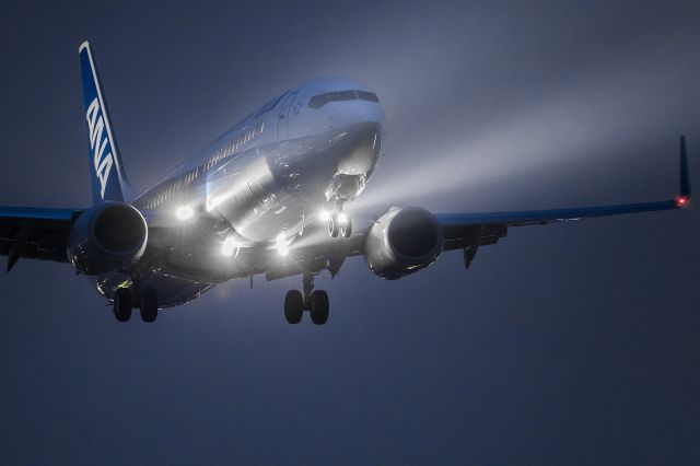 Boeing 737-800 (JA65AN) - In the rain