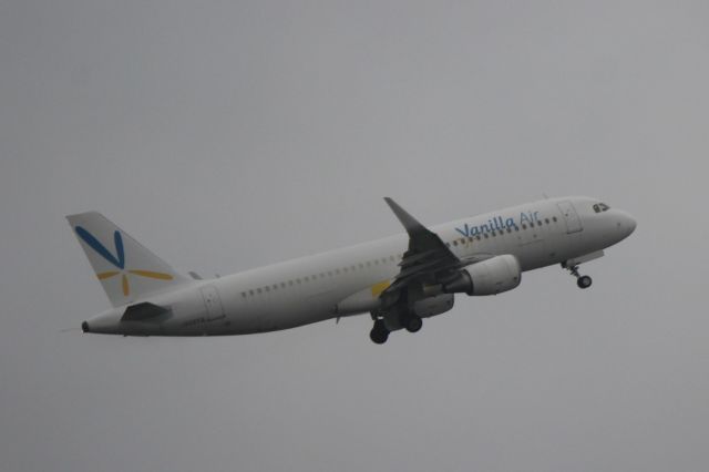 Airbus A320 (JA02VA)