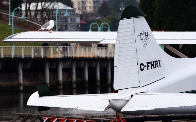 De Havilland Canada DHC-2 Mk1 Beaver (C-FHRT) - TOFINO AIR - Port of Nanaimo