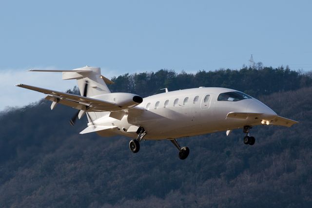 Piaggio P.180 Avanti (I-DARC)