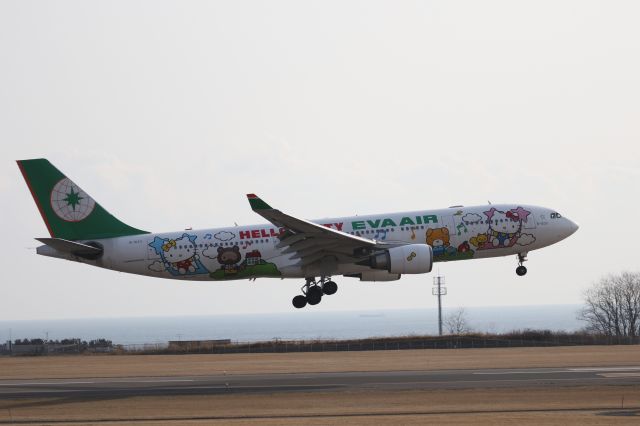 Airbus A330-200 (B-16311) - March 15 2015: TPE-HKD:Landing at HKD RWY30.