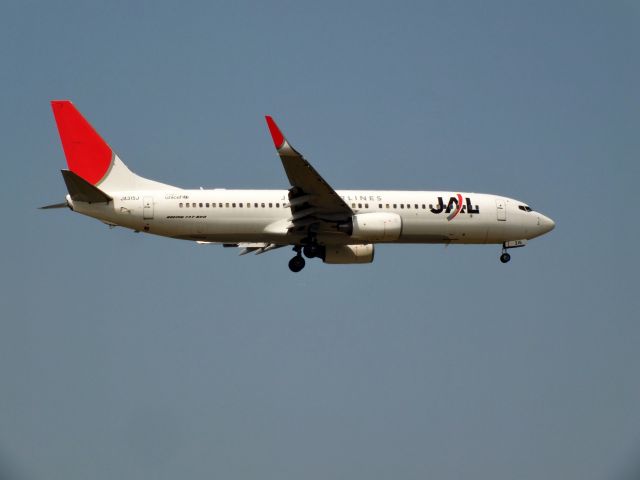 Boeing 737-800 (JA315J)