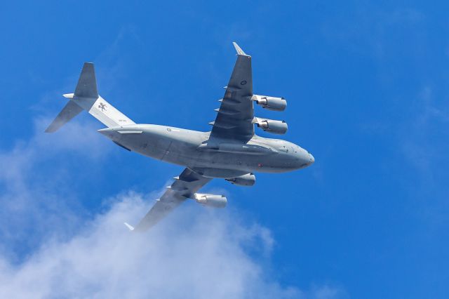 Boeing Globemaster III (A41212)