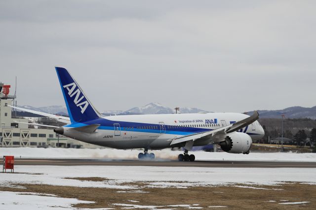 Boeing 787-8 (JA824A) - March 11th 2018:HND-HKD.