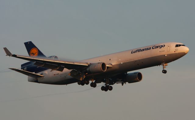 Boeing MD-11 (D-ALCI) - Early arrival with first sun to Frankfurt / Main Airport.