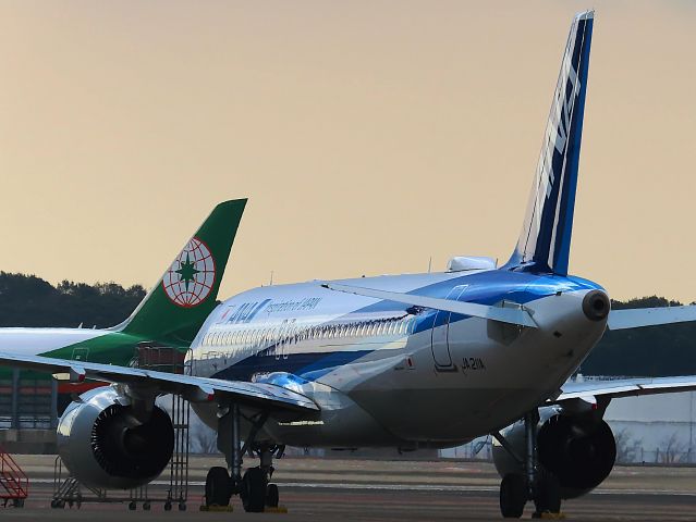 Airbus A320neo (JA211A) - I took this picture on Feb 29, 2020.