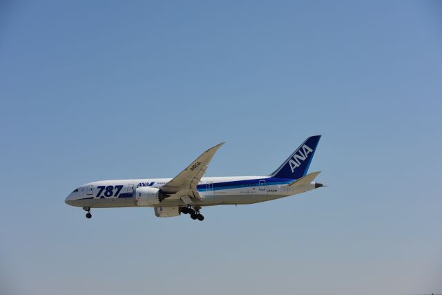 Boeing 787-8 (JA823A) - 09/06/2016 NRT->SJC ANA172, Landing at SJC