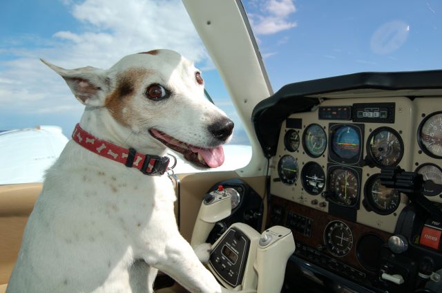 Beechcraft 55 Baron (N828M) - will fly for food