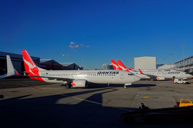 Boeing 737-800 (VH-XZF)