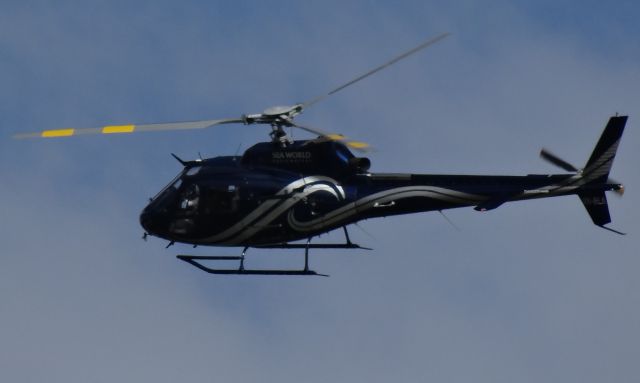 Eurocopter AS-350 AStar (VH-BLA)