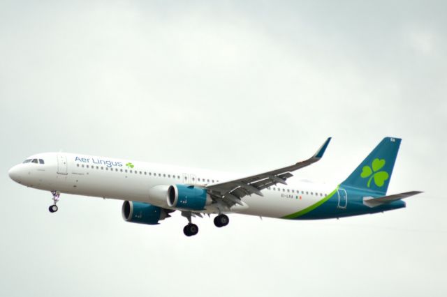 Airbus A321neo (EI-LRA)