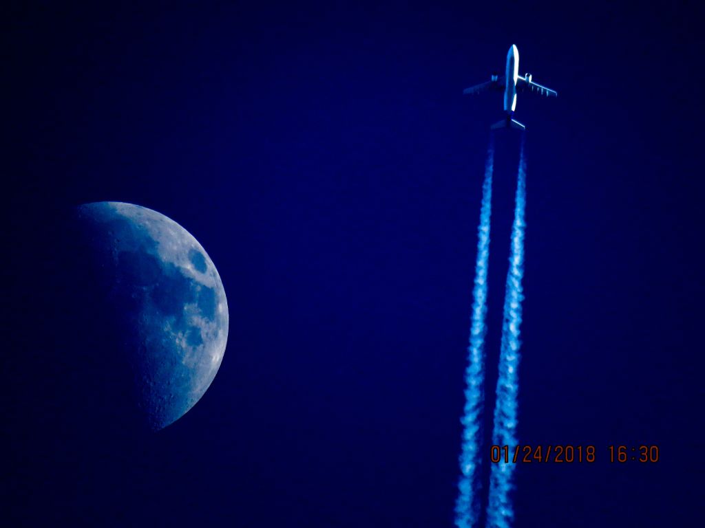 Airbus A300F4-600 (N717FD)