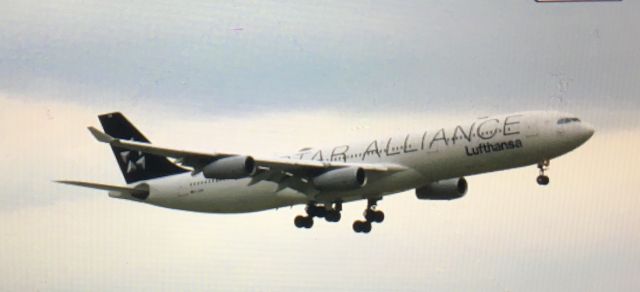 Airbus A340-300 (D-AIGN)