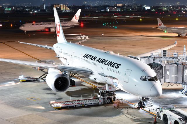 Boeing 787-8 (JA847J) - 2022.4.9