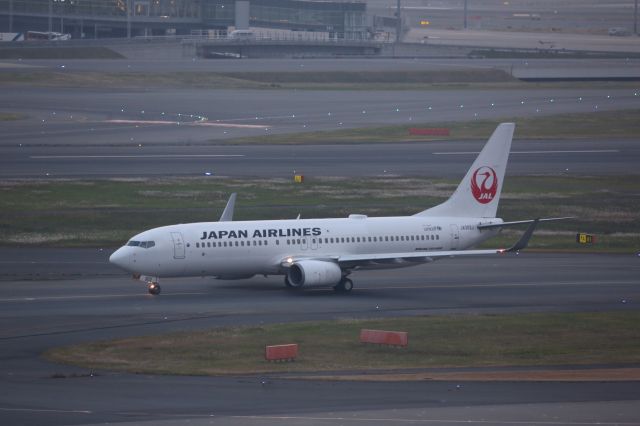 Boeing 737-800 (JA302J)