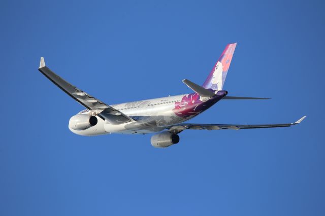 Airbus A330-200 (N380HA)