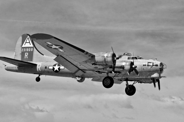 Boeing B-17 Flying Fortress — - Collings Foundation Boeing B-17 Flying Fortress 