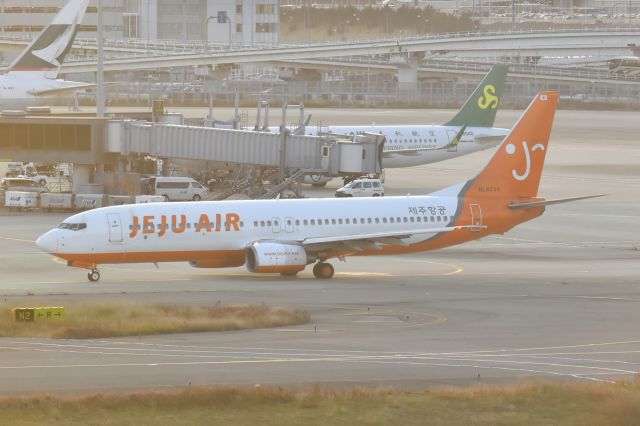 Boeing 737-800 (HL8239)