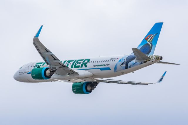 Airbus A320neo (N309FR) - A Frontier Airlines A320 neo "Weston the Woodpecker" taking off from PHX on 2/14/23. Taken with a Canon R7 and Canon EF 100-400 II L lens.