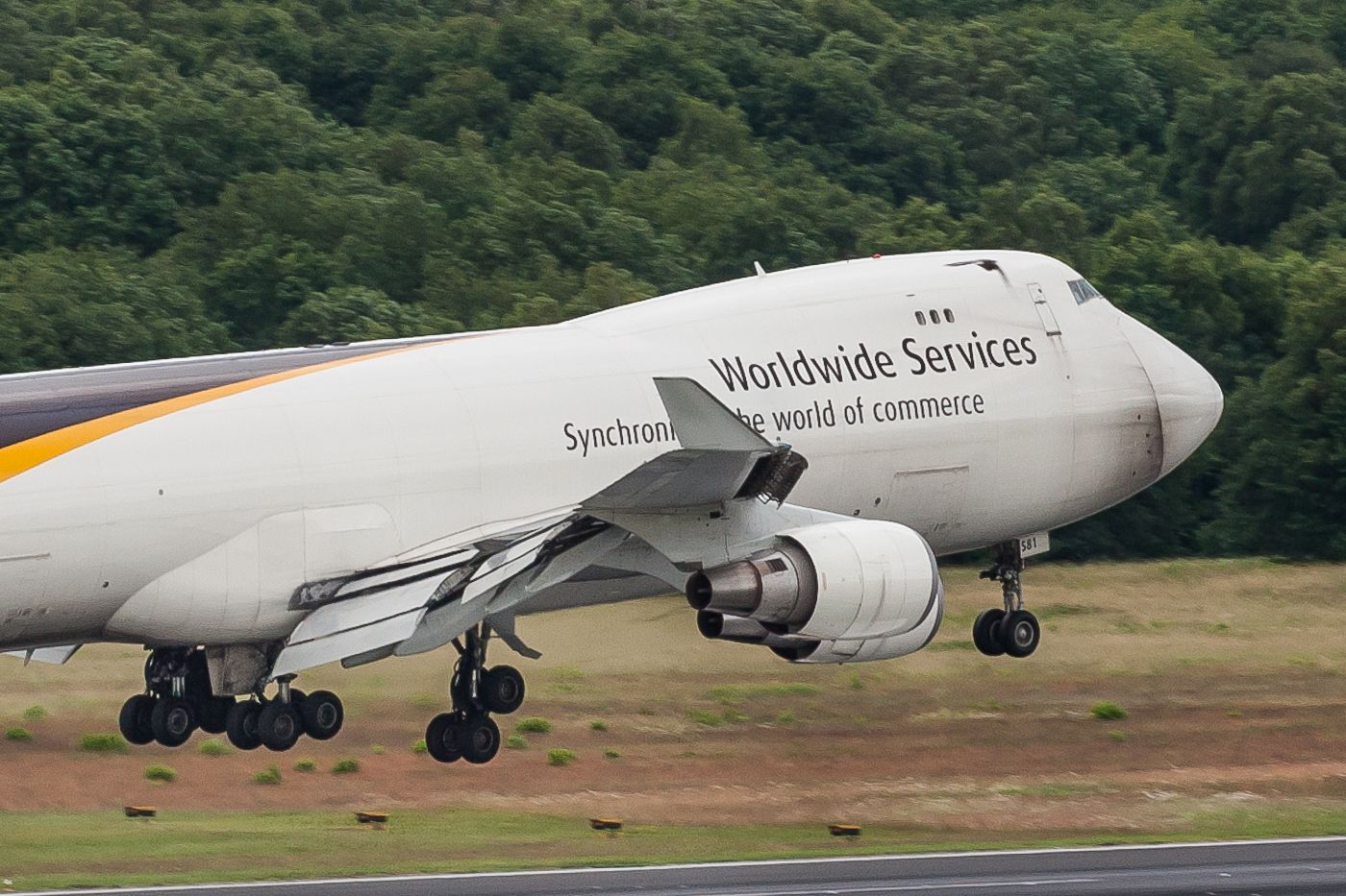 Boeing 747-400 (N581UP) - Close call between the bird and the metal bird (watch above the letters...)