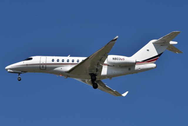 Cessna Citation Longitude (N803QX) - 09-01-22 23-R arriving from ATL. First pic of this bird on the database.