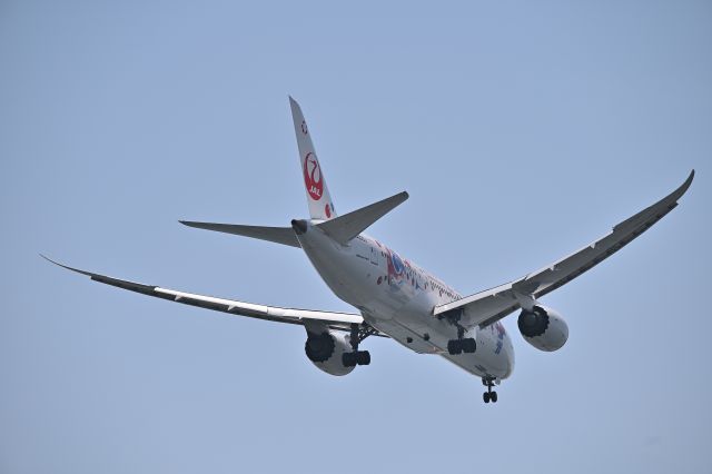 Boeing 787-8 (JA823J) - 27.Apr.2025br /Landing at RWY22(B).br /The photo was taken at Jonanjima Seaside Park.