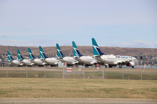 — — - Westjet Fleet parked at YYC on May 1, 2020.