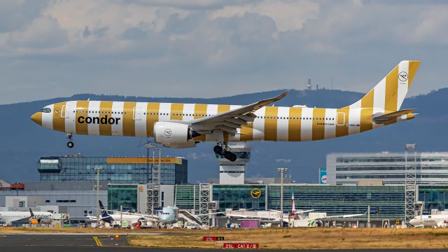 Airbus A330-900 (D-ANRJ) - Beach Livery