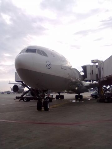 Airbus A340-600 (D-AIHT)