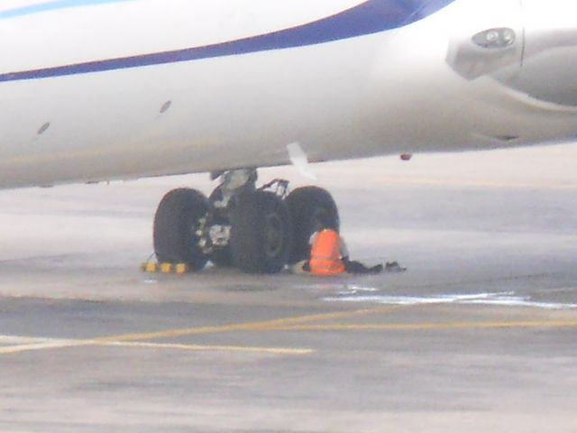 BOEING 767-300 (N171DZ) - Taking a nap under the airplane....