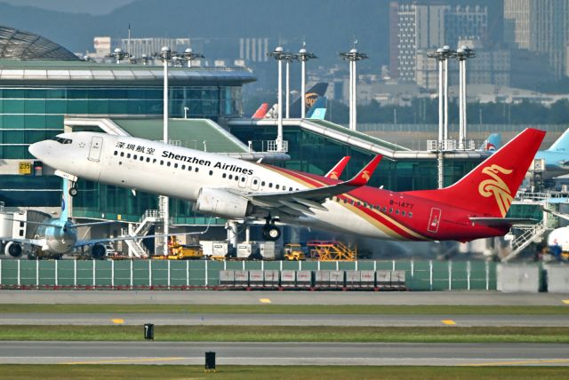 Boeing 737-800 (B-1477)