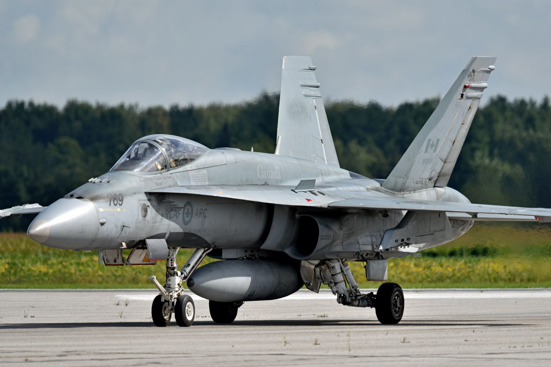 McDonnell Douglas FA-18 Hornet (18-8769) - Royal Canadian Air Force CF-188 at Air Show London 2018