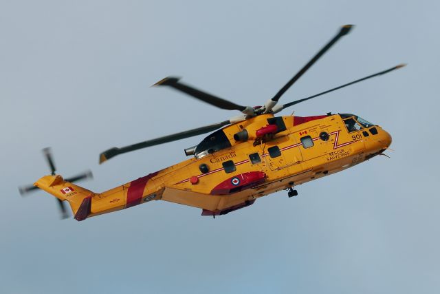 WESTLAND Merlin (14-9901)