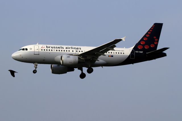 Airbus A319 (OO-SSF)