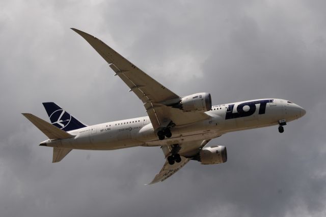 Boeing 787-8 (SP-LRC) - Landing 10-R KORD 07-23-13