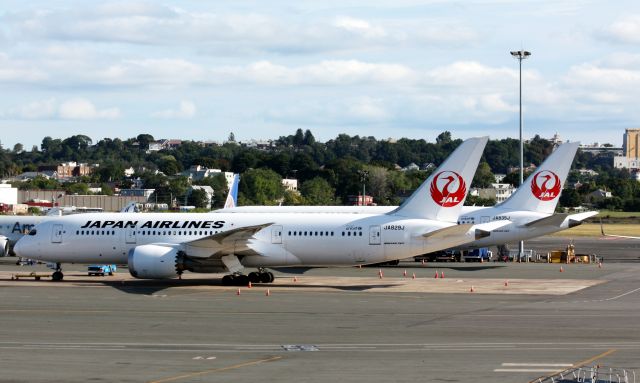 Boeing 787-8 (JA829J)