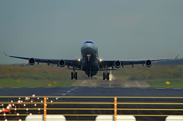 Airbus A340-300 (D-AIGS)