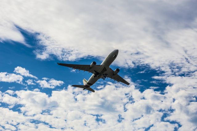 Airbus A330-300 (EI-EJJ)