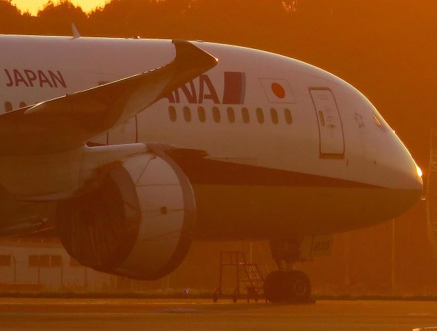 Boeing 787-8 (JA835A) - I took this picture on Oct 24, 2018.br /This JA835A is on the ground for Trent 1000 engine refurbishment.br /But this JA835A returned to the line safely on the subsequent NH805 flight to Bangkok on October 30.