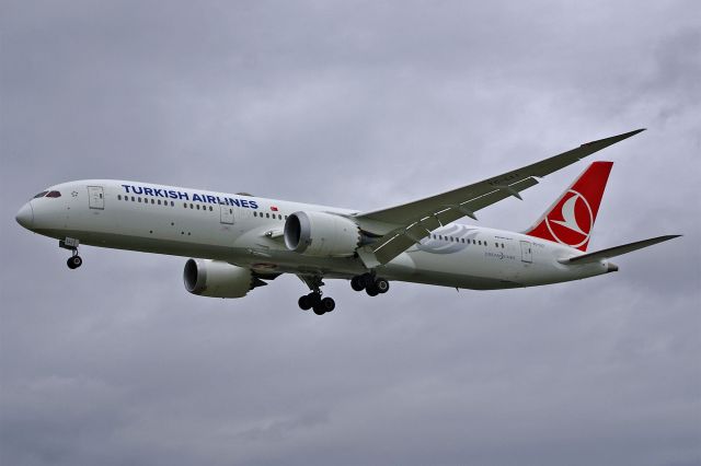 Boeing 787-8 (TC-LLI) - Boeing 787-9 Dreamliner, Turkish Airlines, TC-LLI, 14.Oct.2022, EGLL London Heathrow, Myrtle Ave