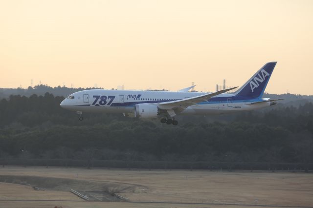 Boeing 787-8 (JA805A)