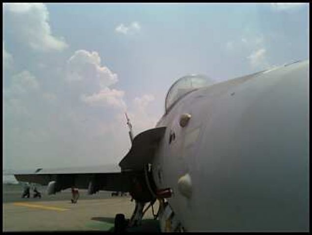 Grumman F-14 Tomcat (F14) - Dayton (OH) Air Show 2008