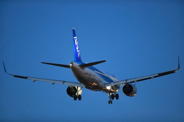 Airbus A320 (JA216A) - August 27th 2020:HND-HKD.