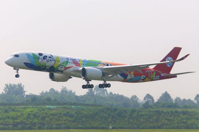 Airbus A350-900 (B-301D) - The very first flight_from TLS to CTU.br /This is Sichuan Airlinesfirst A350-900 airplane.br /How cute the Pandas are!br /TIPS:Select full-size and wait for a while for a better view.