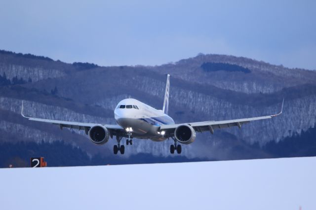 Airbus A321neo (JA136A) - January 8,2023:HND-HKD.